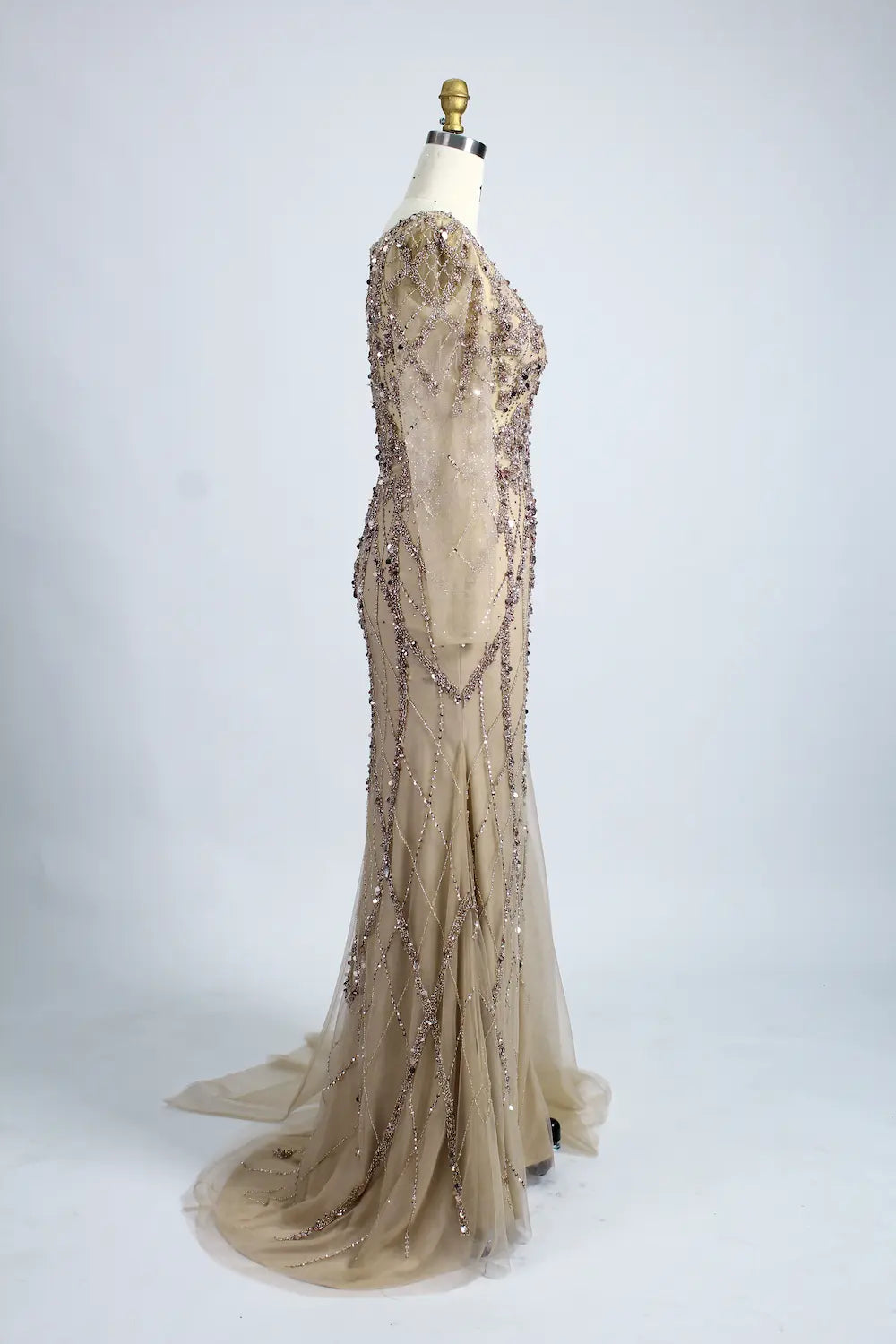 Champagne beaded tulle long gown side view with sheer sleeves and trailing hem